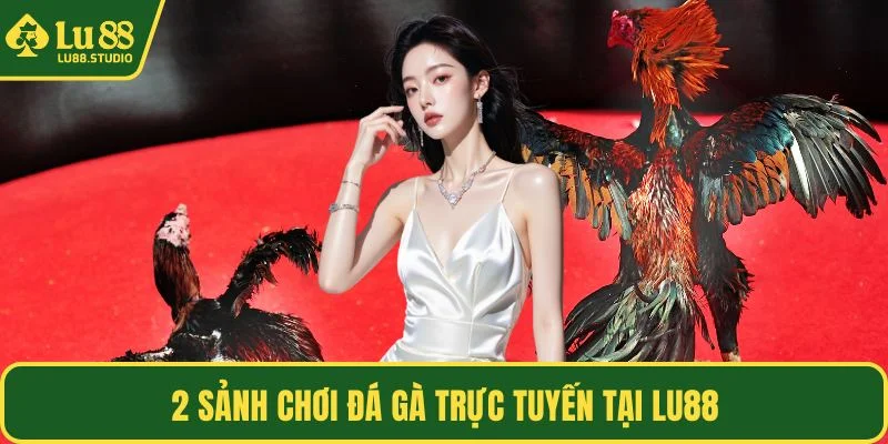 2 sảnh chơi đá gà trực tuyến tại LU88