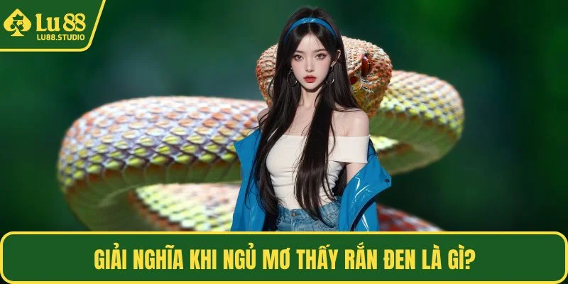Giải nghĩa khi ngủ mơ thấy rắn đen là gì?