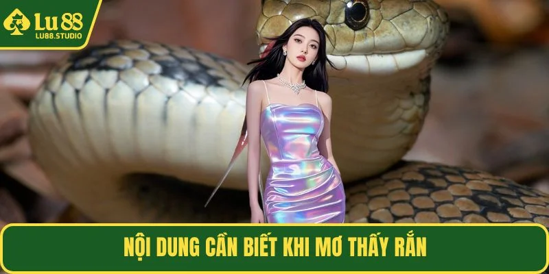 Nội dung cần biết khi mơ thấy rắn