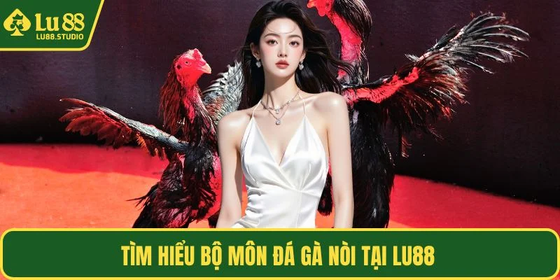 Tìm hiểu bộ môn đá gà nòi tại LU88